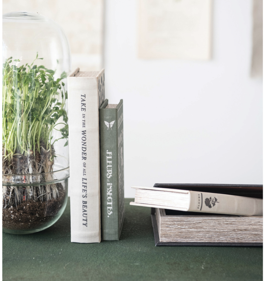 Canvas Book Storage Box