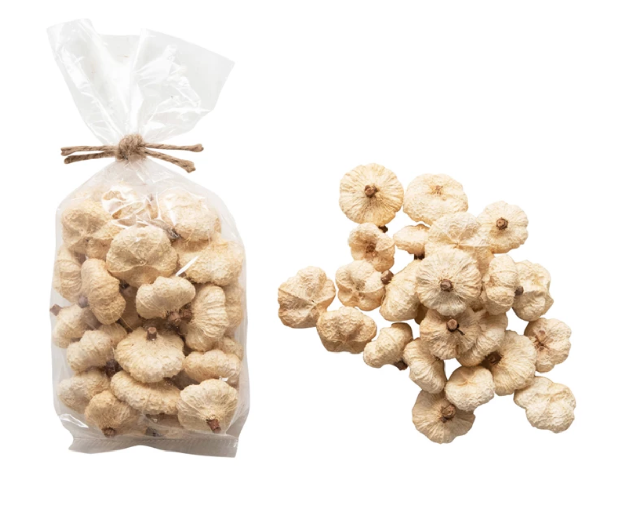 Cream Pumpkin Pods