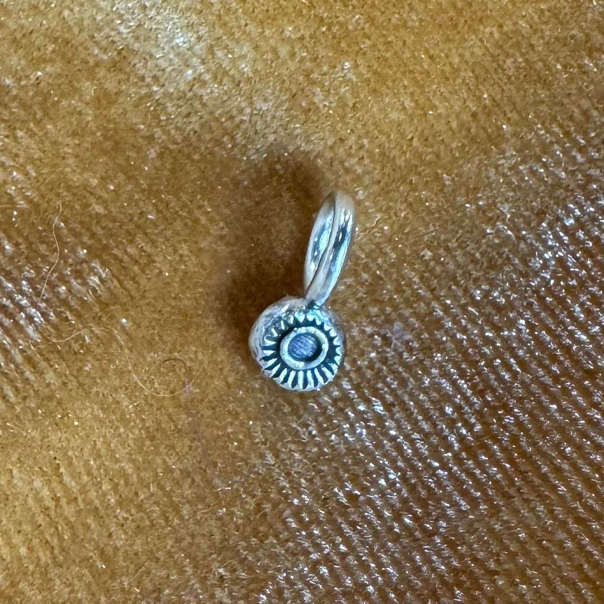 Small Circle Charm