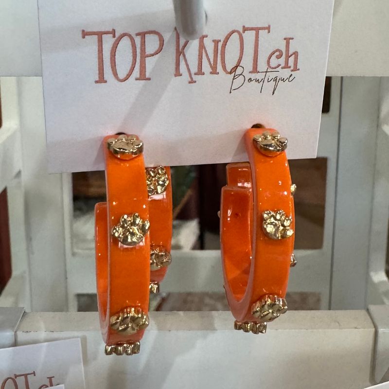 Clemson Hoops