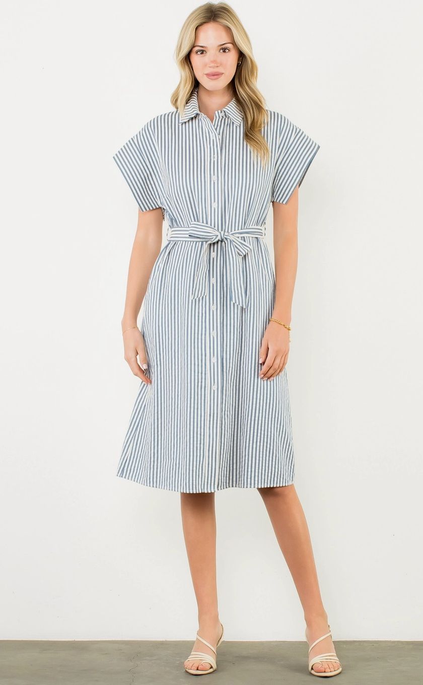Blue Button Dress
