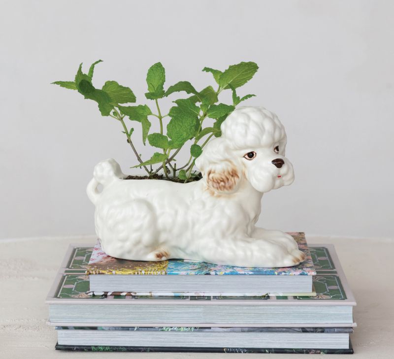 Dog Planter