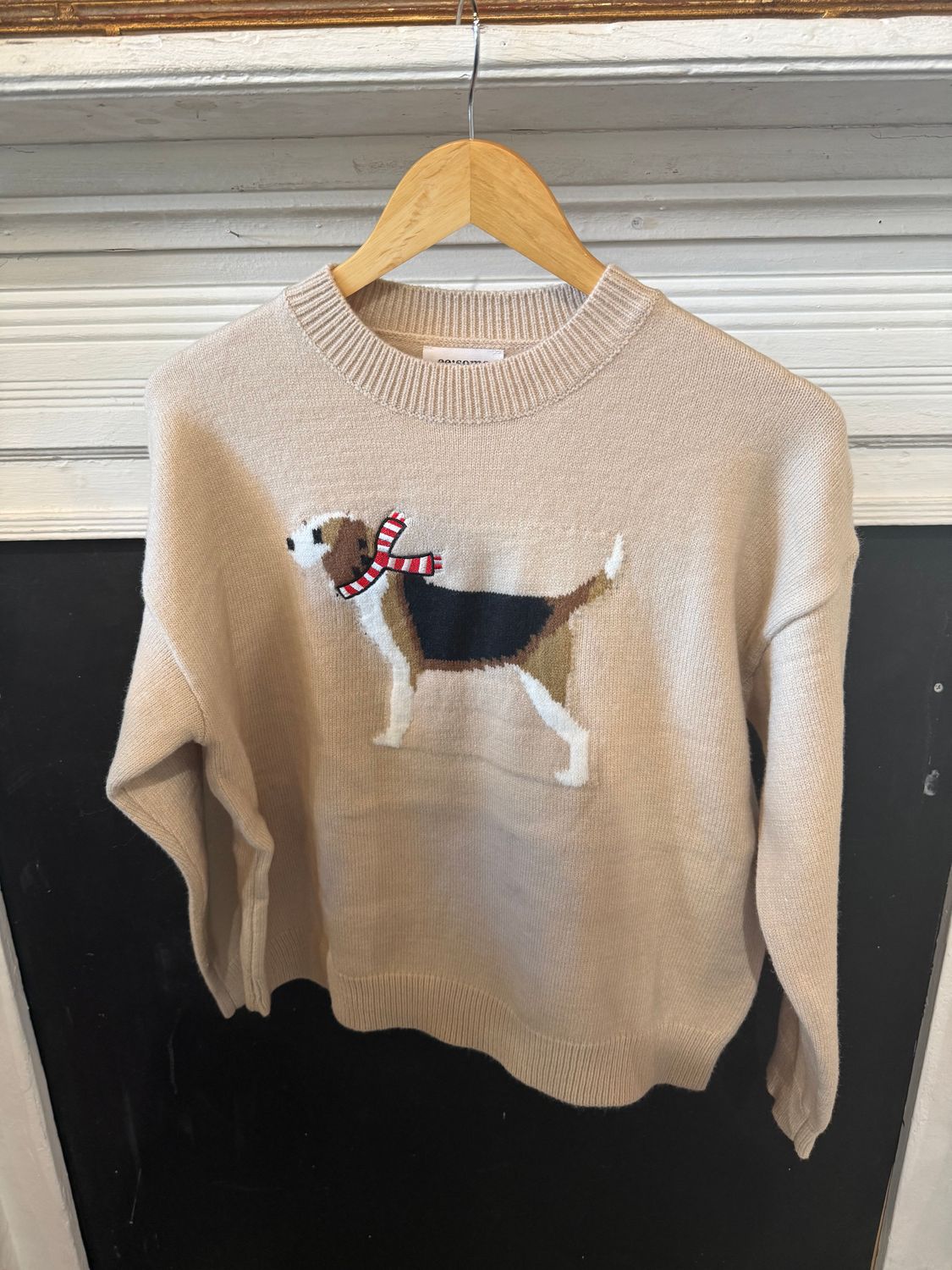 Winter Dog Sweater