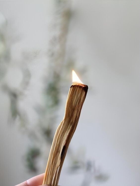 Palo Santo Wood
