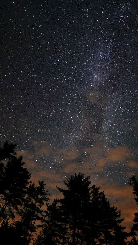 Starry Night