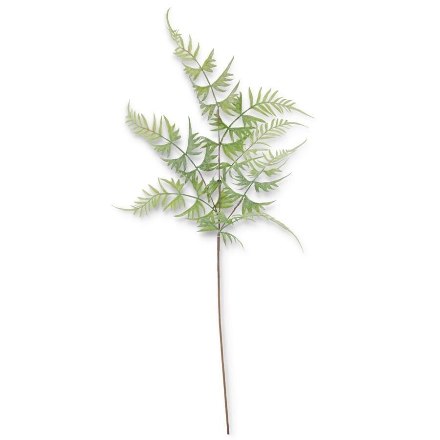 Artificial Fern Parsley - Lifelike