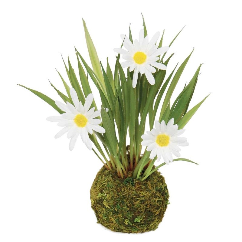 Mini Daisy on Moss Ball, Artificial