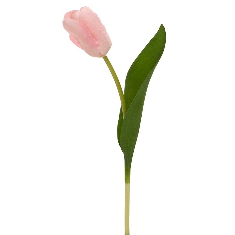 Pink Tulip, Artificial