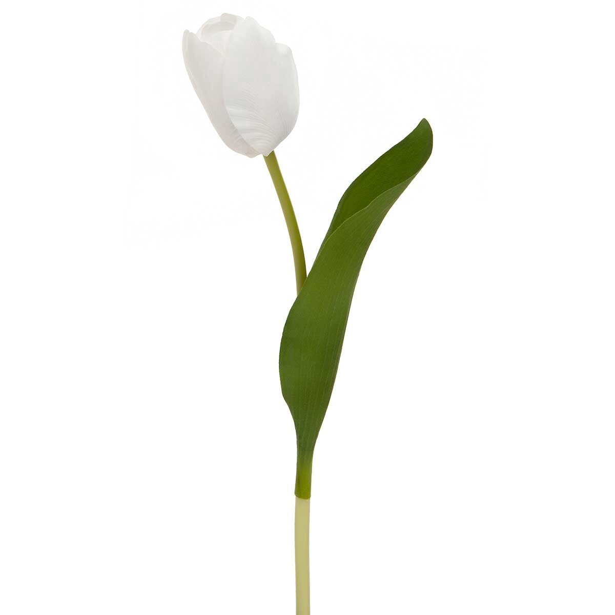 White Tulip, Artificial