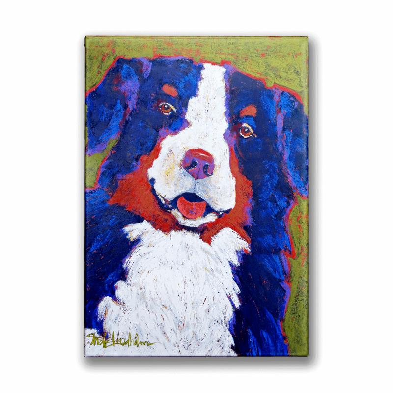 Bernie - Bernese  Box Art