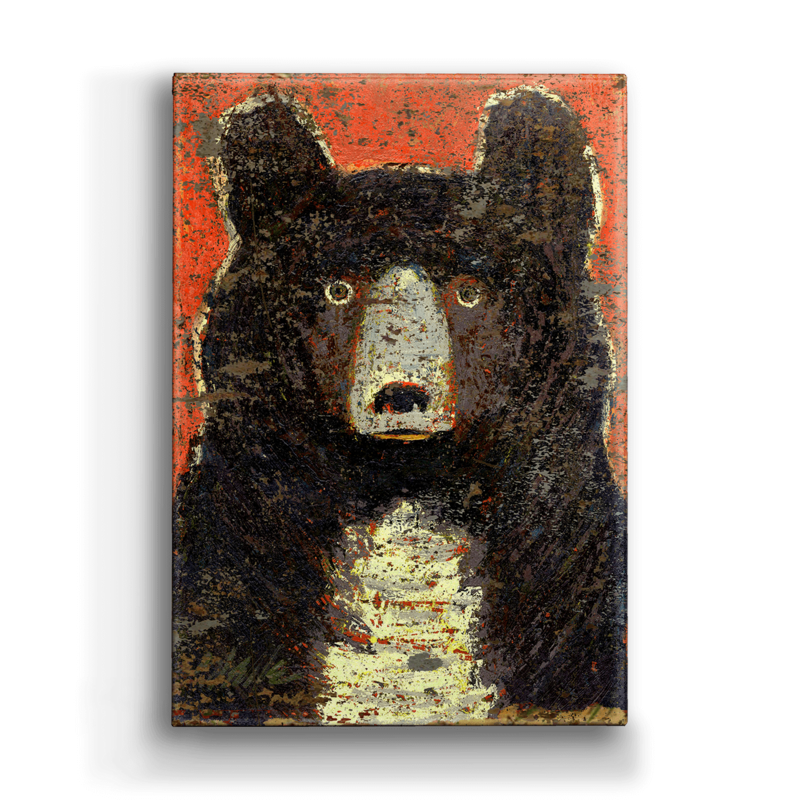 Little Owl - Black Bear Box Art