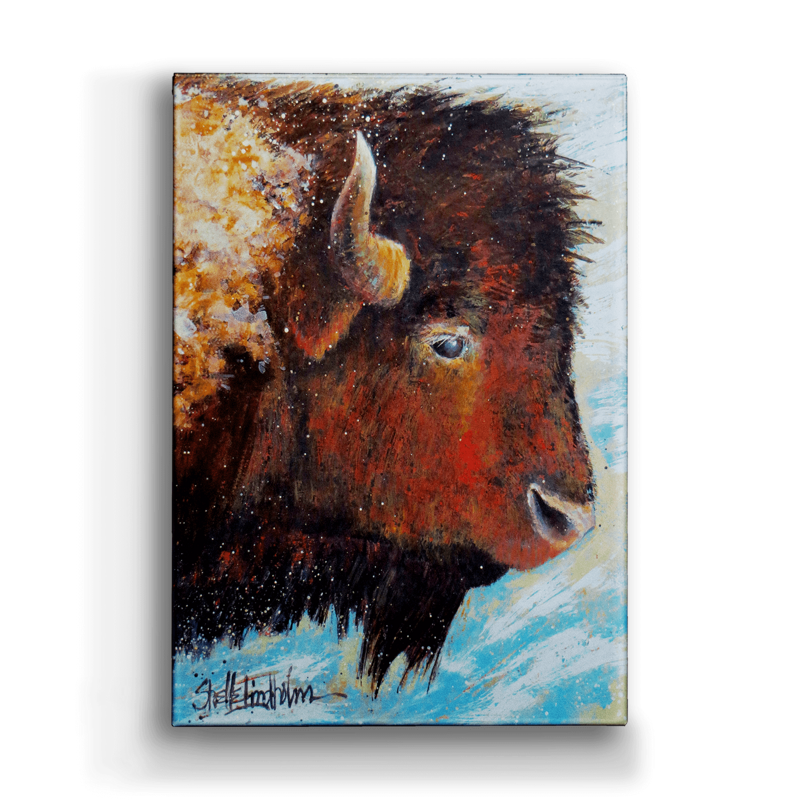 Windswept - Winter Buffalo Box Art