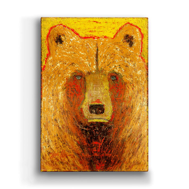 Hawk - Orange Bear Box Art