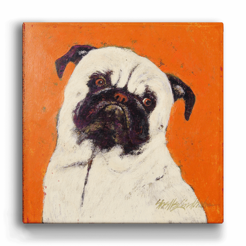 Ziggy - Pug Box Art