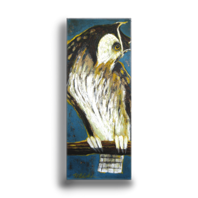 Listening - Great Horned Owl Box Art