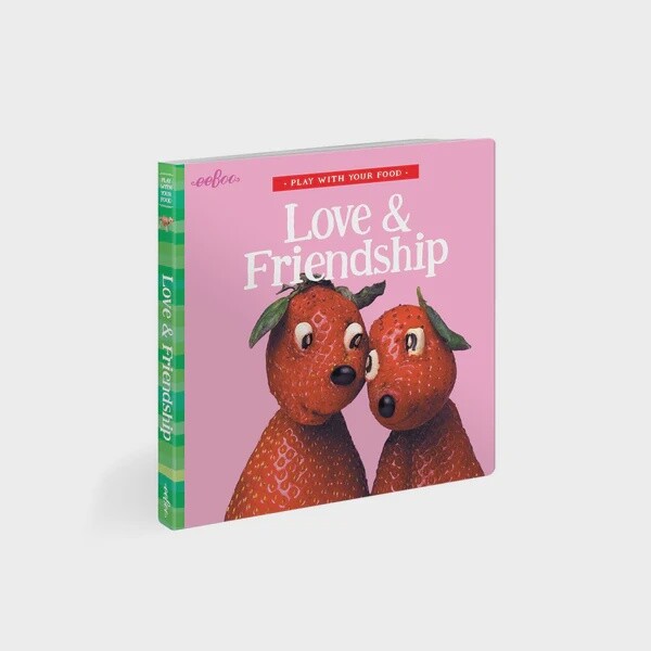 Book Board Love and Friendship