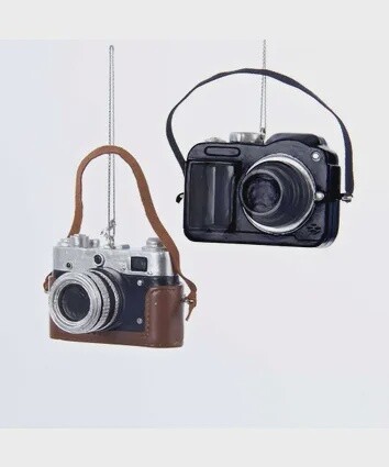 Digital Camera Ornament - 2 Assorted