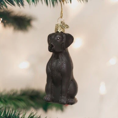 Pet: Black Labrador Old World Ornament