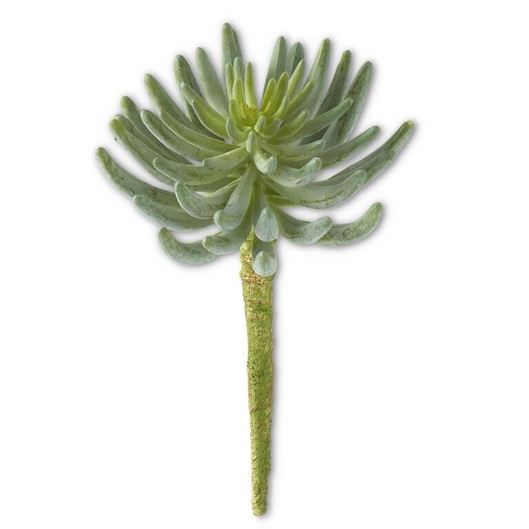 Succulent, Artificial