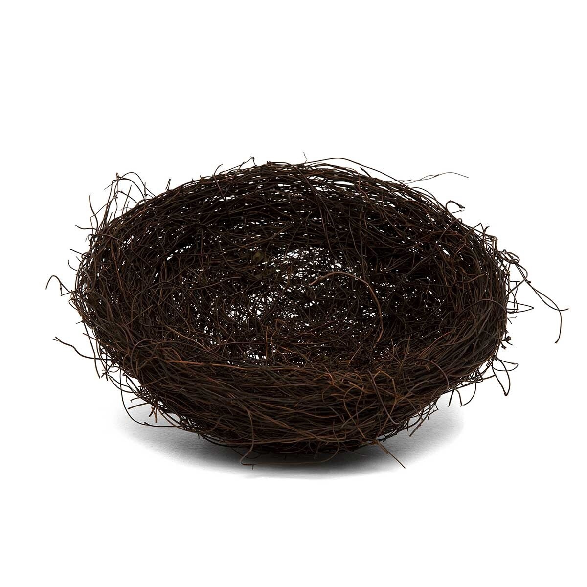 Large Realistic Nest