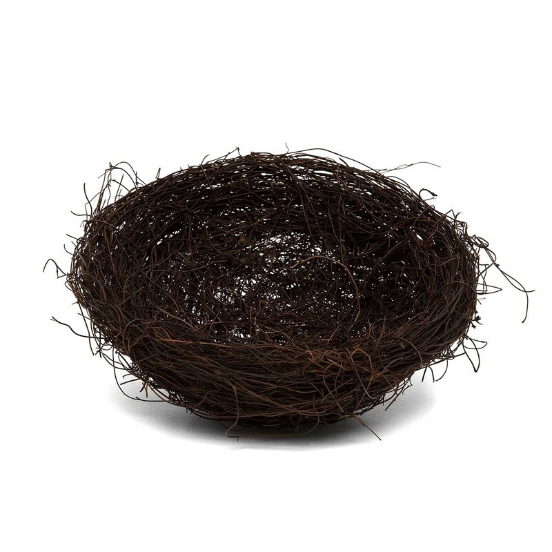 Large Realistic Nest