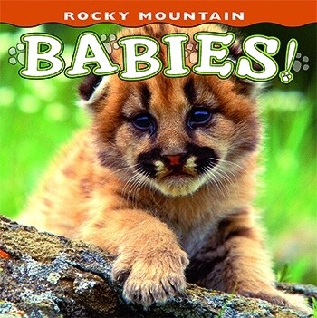 Book Rocky Mountain Babies