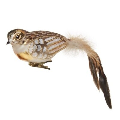 Feathered Tail Bird Ornament