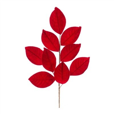 Leaf spray Magnolia Red Velvet