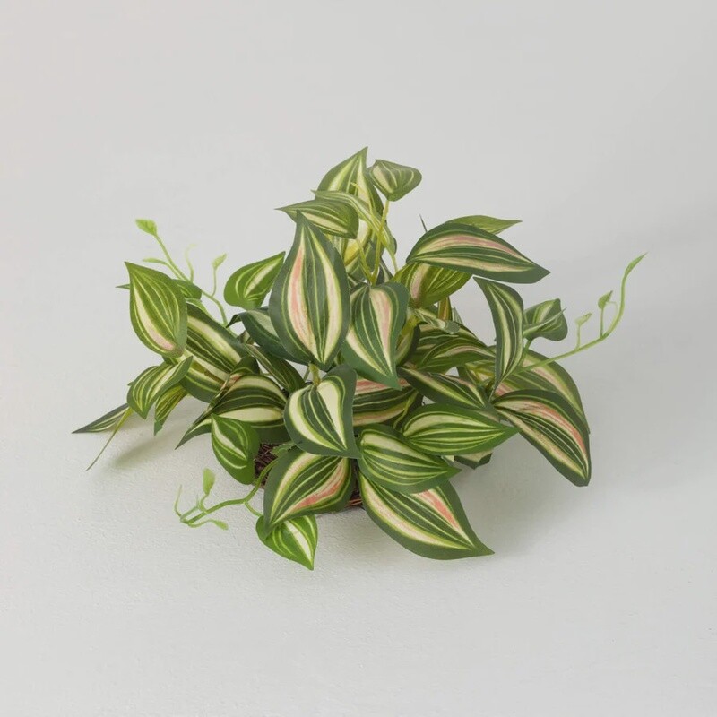 Lifelike Inchplant  in &quot;Moss&quot;