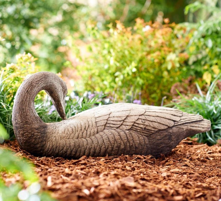 Stone Preening Goose