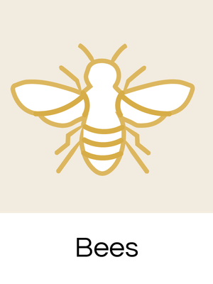 Bees