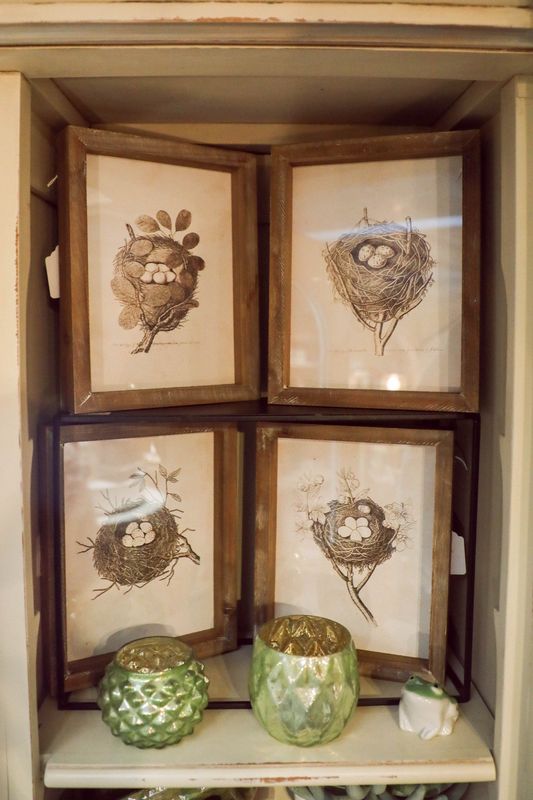 Wood Framed Nest Prints