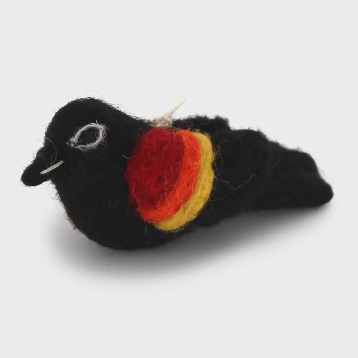 Wooly Red-Wing Black Bird