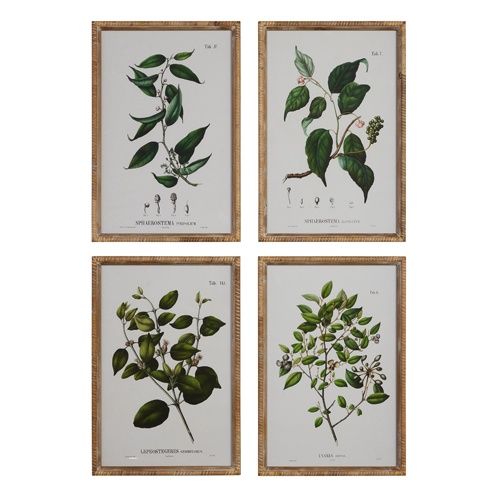 Seeded Branch Framed Wall Art