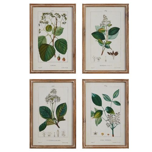 Print Botanical 4 assorted