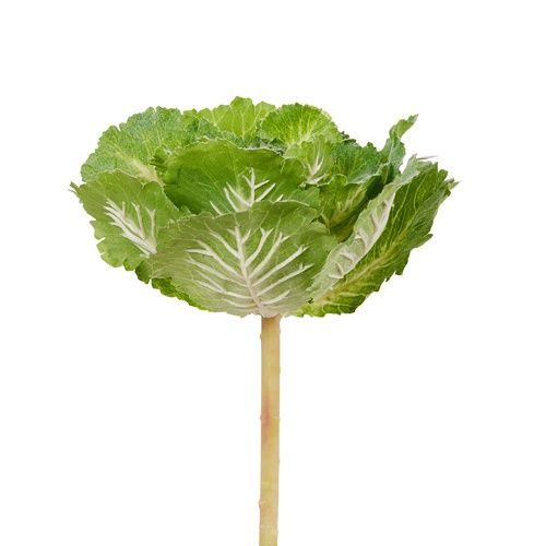 Lifelike Cabbage Pick - Artificial