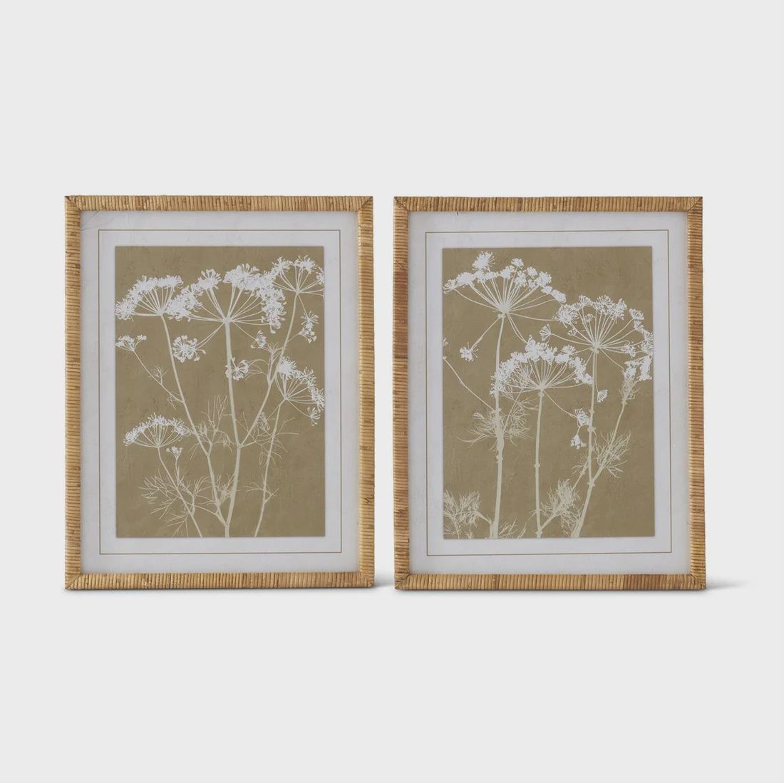 Print Rattan Framed Queen Anne Lace