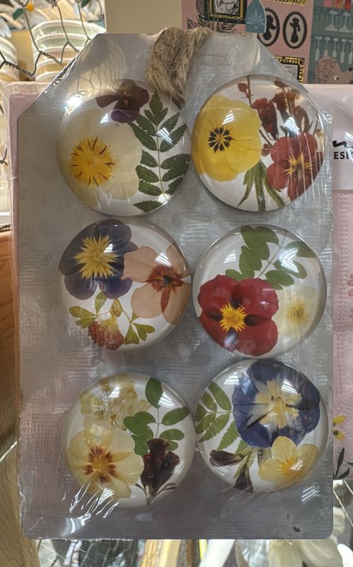 Pressed Flower Magnet - Glass - 6 to a Package