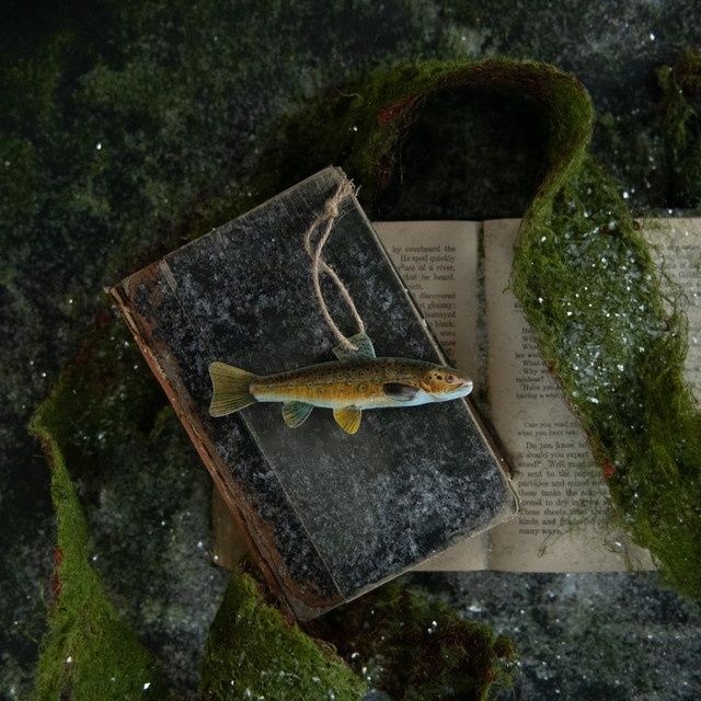 Ornament Trout Fish