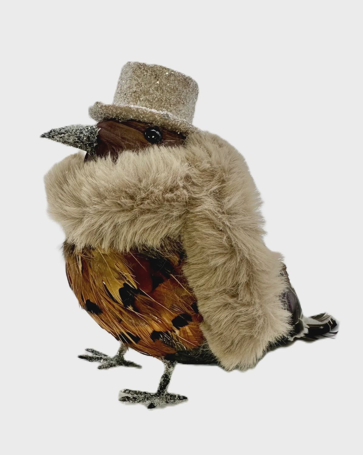 Sparrow with Hat and Faux Fur Scarf