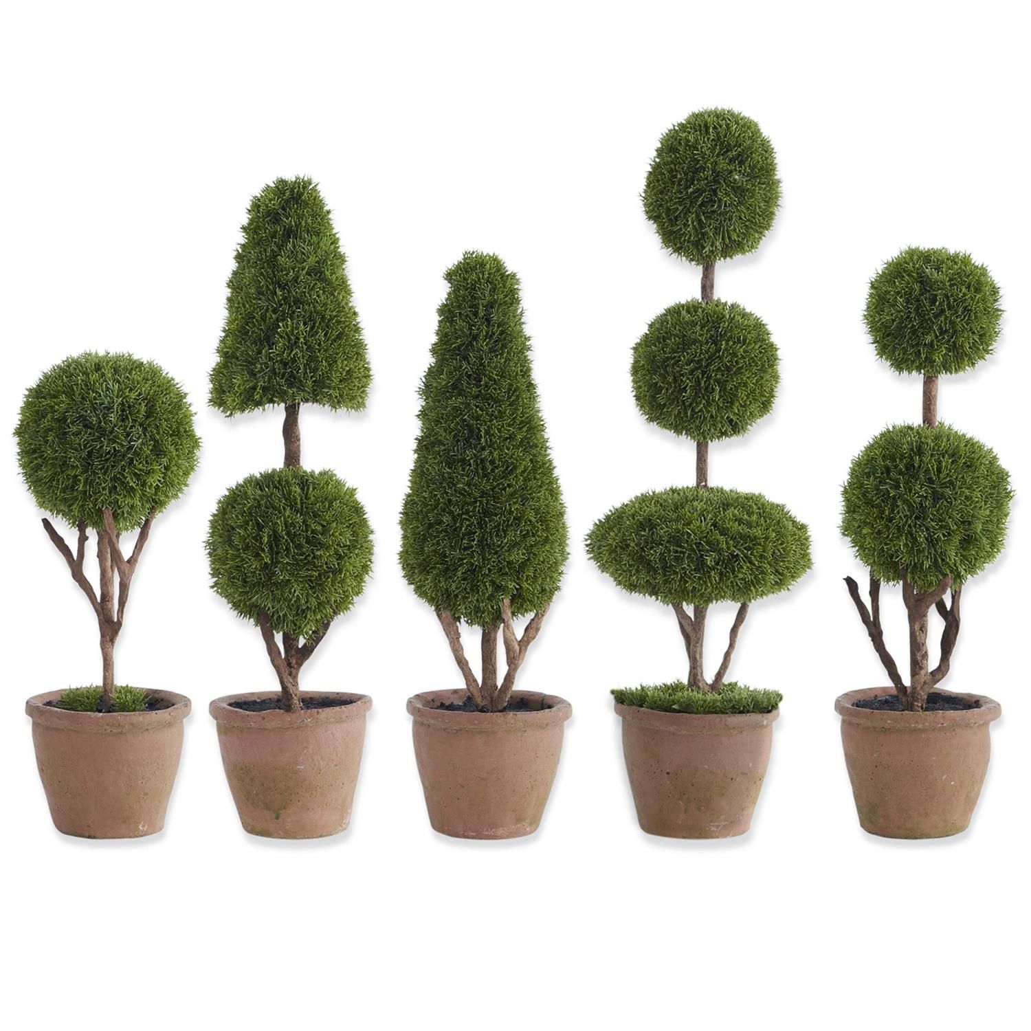 Tabletop Topiaries - Varied