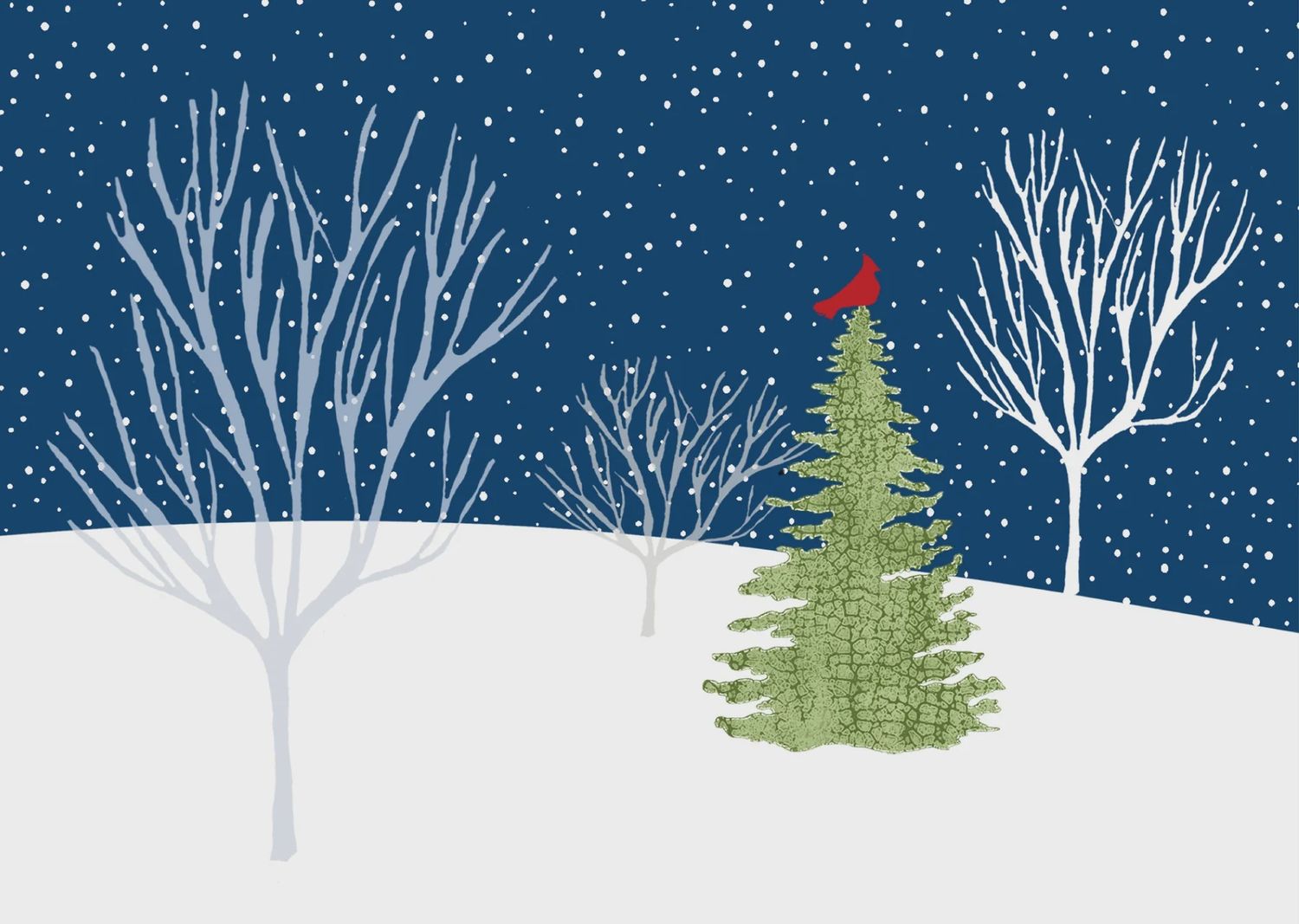 Christmas Card, DLX BX Midnight Cardinal