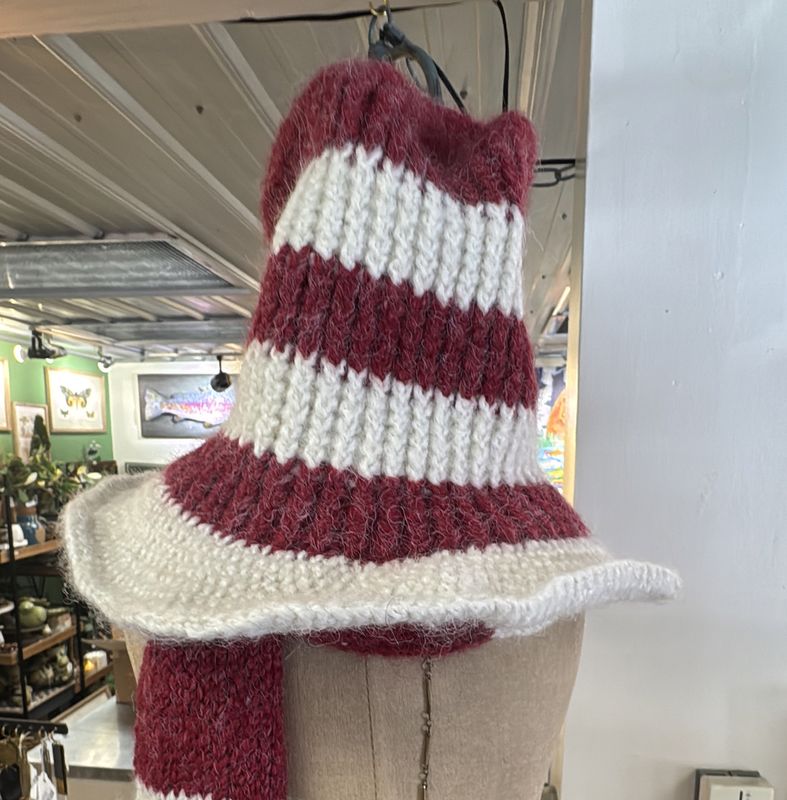 Cat In The Hat - Red and White Striped Ski Hat