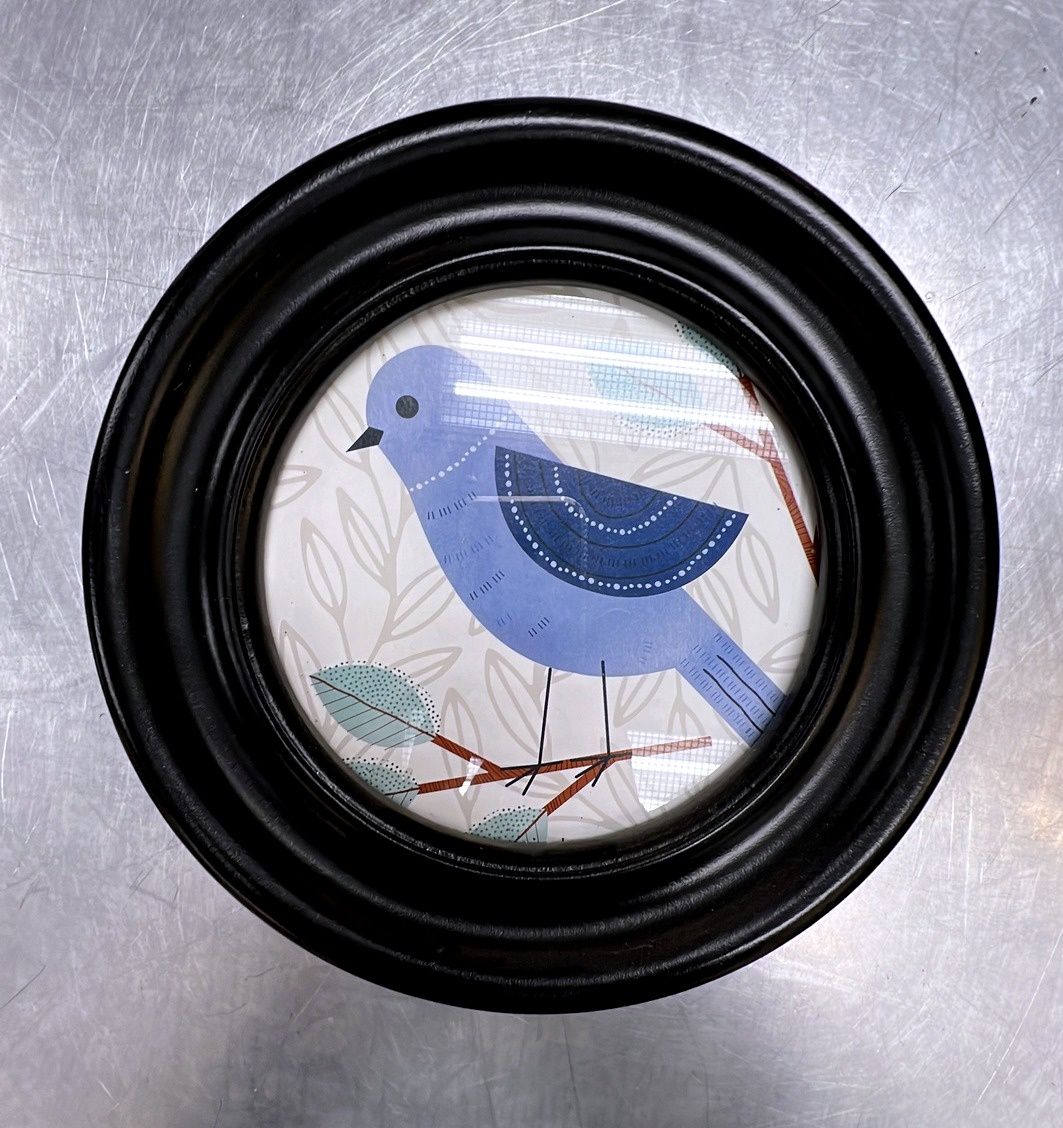 Bird Art - Round Frame