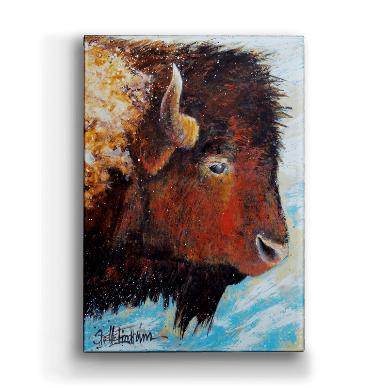 Windswept - Winter Buffalo Box Art