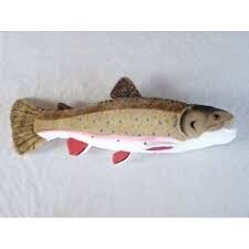 Brook Trout