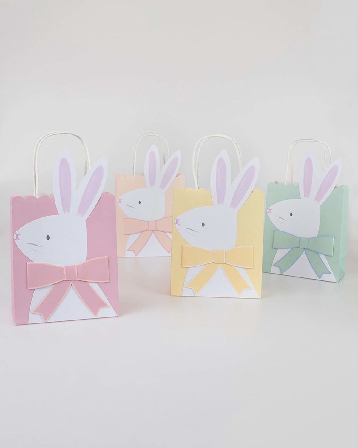 Bunny gift Bag