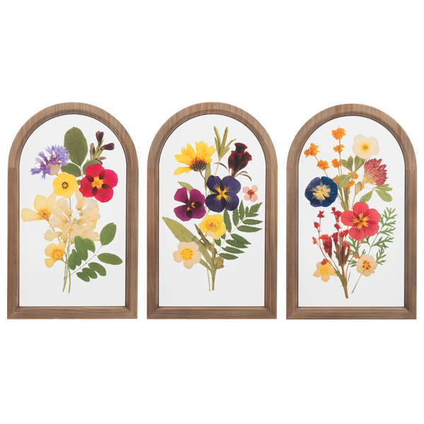Arched  Pressed Flowers Wall Decor