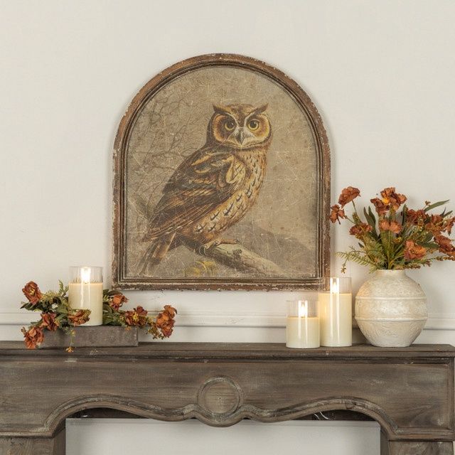 Print Framed Great Horned owl