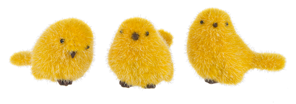 Fuzzy Little Chicks